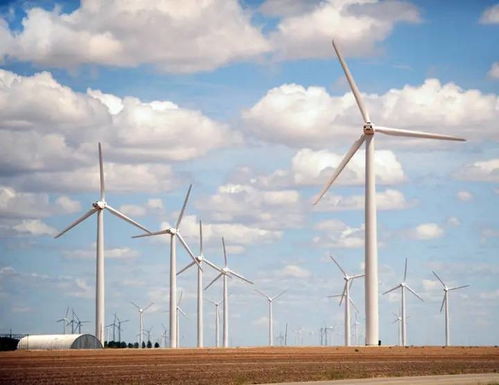 建風機制造廠 簽全球最大儲能項目,中企助力沙特發展清潔能源